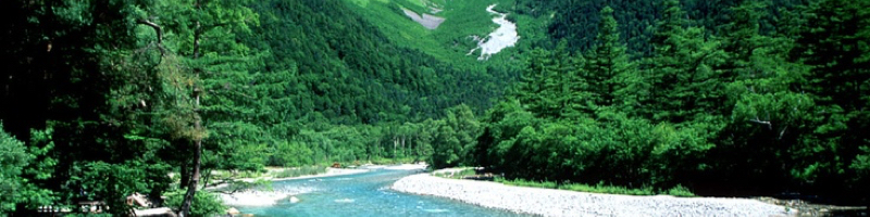 �Ȏ������T�C�g